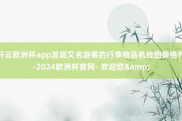 开云欧洲杯app发现又名游客的行李物品机检图像格外-2024欧洲杯官网- 欢迎您&