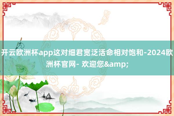 开云欧洲杯app这对细君宽泛活命相对饱和-2024欧洲杯官网- 欢迎您&