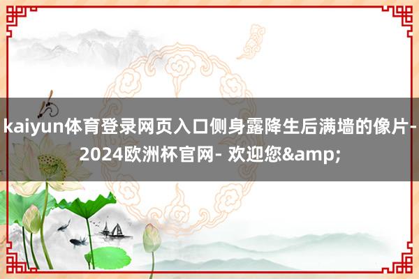 kaiyun体育登录网页入口侧身露降生后满墙的像片-2024欧洲杯官网- 欢迎您&