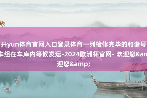 开yun体育官网入口登录体育一列检修完毕的和谐号动车组在车库内等候发运-2024欧洲杯官网- 欢迎您&