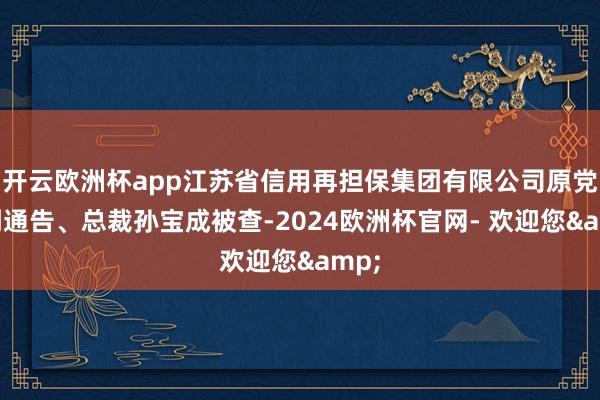 开云欧洲杯app江苏省信用再担保集团有限公司原党委副通告、总裁孙宝成被查-2024欧洲杯官网- 欢迎您&