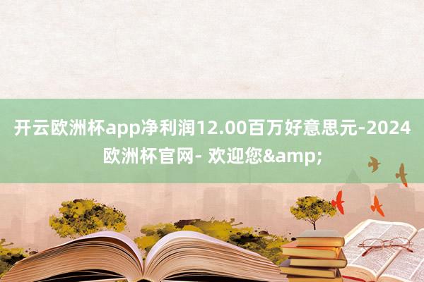 开云欧洲杯app净利润12.00百万好意思元-2024欧洲杯官网- 欢迎您&