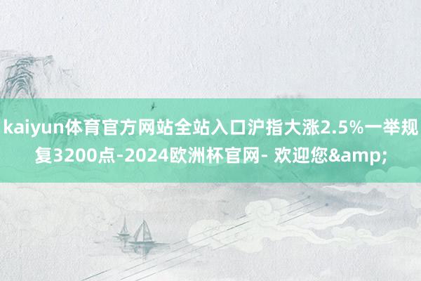 kaiyun体育官方网站全站入口沪指大涨2.5%一举规复3200点-2024欧洲杯官网- 欢迎您&